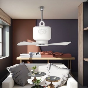 Factory Direct Adjustable USB Ceiling <b>Fan</b> Detachable Blades Electric Air Cooling <b>Fan</b> for Outdoor Use - Product Image 2
