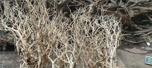 <span class=keywords><strong>Thailand</strong></span> Tak Xi Wortels Drift Hout <span class=keywords><strong>Aquarium</strong></span> Gewei Tak Hout Voor Decoratieve Voor Fish Tank - Product Image 4