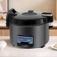 Cuisinière à riz électrique en acier inoxydable de 10 L avec cuve intérieure antiadhésive, cuisson rapide, pour hôtels et camping-cars, comprend une spatule et une tasse doseuse