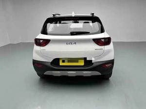 Veicoli Familiari a Benzina Usati 2021 Bianchi KX1 per Sportage Guida a Sinistra Cinque Porte Prodotti in Cina - Product Image 1