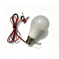 Lampe LED Blanc Pur DC12-85V, Cordon à Clip de 1,2 Mètre, Température de Couleur 3000K-6500K, Durée de Vie 10000 Heures, IRC 80, Utilisation en Jardin, Garantie 2 Ans