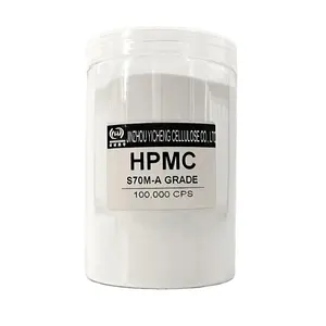 Produsen bubuk putih selulosa hpmc bubuk Wall Putty hidroksipropil metil selulosa perekat ubin