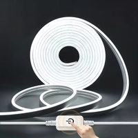 Capteur tactile LED enseigne au néon bande lumineuse 5V USB Dimmable étanche lampe au néon bande Flexible Silicone chambre rétro-éclairage bricolage décor