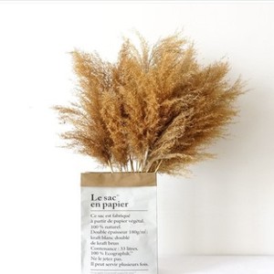 ขายส่งจากโรงงาน ดอกกกแห้ง สไตล์โมริ ญี่ปุ่น เกาหลี นอร์ดิก สำหรับตกแต่ง ดอกไม้ประดับติดตู้โชว์ ผลิตในจีน - Product Image 6