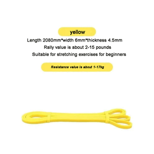 Attrezzatura per Allenamento Fitness, Bande di Resistenza per Yoga e Esercizi in Palestra, 100% Lattice Naturale ad Alta Elasticità, Forza 5-230 LBS - Product Image 3