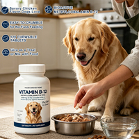 120 comprimés à mâcher de vitamine B12 pour chiens, complément alimentaire pour animaux de compagnie, service OEM, étiquette privée, service personnalisé