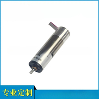 Motor Gear Planetary Tanpa Inti 16mm Torsi Tinggi Kebisingan Rendah 12V DC Motor Geared Kontrol Kecepatan Kustom Untuk Robot Medis