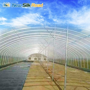 <span class=keywords><strong>Serre</strong></span> agricole à simple portée à faible coût, en acier galvanisé à chaud, avec couverture en film plastique multi-ventilation, marque NSR - Product Image 6