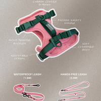 Ensemble laisse et harnais pour chien en néoprène PVC réglable sans traction, nouvelle conception tendance, logo personnalisé, vente en gros
