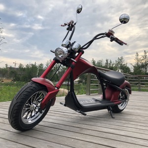 Scooter Eléctrico Plegable X10 Personalizado OEM ODM - Product Image 6