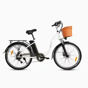 L EU/UK/US-Warenlager HOT Dyu C6 Elektrofahrrad faltbarer Roller elektrisches Elektro-Stadtrad für Erwachsene City-Star-Bike