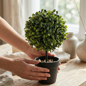 Ruopei <span class=keywords><strong>Mini</strong></span> Bola de Topiario Artificial de Boj, Resistente a los Rayos UV, Planta de Boj Artificial en Maceta Negra para Decoración de Mesa en Hogar u Oficina - Product Image 1