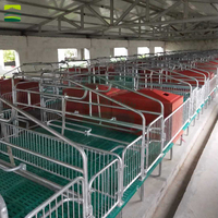 Lit de gestation galvanisé pour truies, boxes de mise bas pour porcs, sols de parcs porcins, équipement d'élevage pour truies à vendre