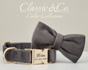 ชุดปลอกคอและสายจูงสุนัขสีเทาเข้มพร้อมป้ายชื่อส่วนตัวสำหรับลูกสุนัข - Product Image 3