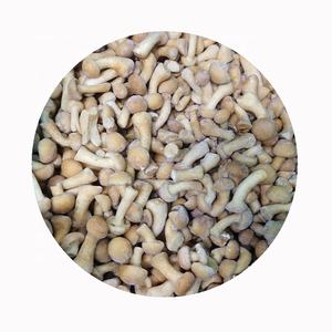 פטריות מיובשות הקפאה אורגני פטריות nameko מקוטשת קוביות קוביות בלוק טרי שלם טרי ללא מלח הוסיף מלח-סיטונאי זמין - Product Image 3