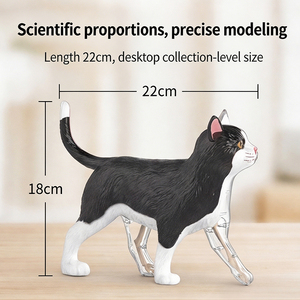 <span class=keywords><strong>Kit</strong></span> professionnel de biologie féline avec organes amovibles – Outil d'apprentissage de la zoologie, coffret de ressources vétérinaires robuste pour la découverte sur le bureau - Product Image 4