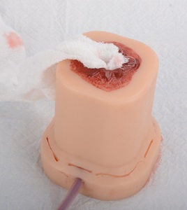 Ngừng chảy máu kiểm soát đào tạo Kit với ba loại mô phỏng đóng gói vết thương - Product Image 4