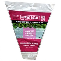 Sac en plastique triangulaire personnalisé avec logo, pour légumes, avec trous de ventilation, emballage transparent pour légumes à feuilles fraîches
