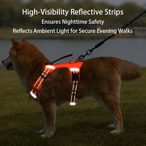 Nylon-Geschirr-Set für Hunde: Verstellbares, bequemes, luxuriöses und individuell anpassbares Set aus Halsband, Leine und Geschirr für Outdoor-Spaziergänge – umweltfreundlich - Product Image 5