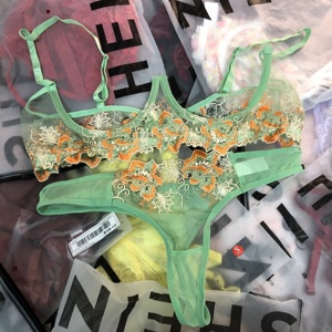 סיטונאי שקוף פרחוני רקמת תחרה סקסי תחתוני תחתונים וחזייה נשים גדול גודל חזיית סט הלבשה תחתונה עם פרפר - Product Image 3