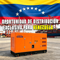 Generador Eléctrico Portátil Silencioso de Diésel de 200 kVA 250 kVA, Trifásico, 200 kW, para Venezuela