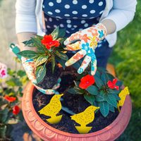 Pièges à insectes décoratifs bicolores irréguliers personnalisés, commande en gros pour les magasins de jardinage
