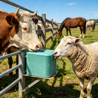 Additif alimentaire NaCl à 99,9 %, cristaux blancs pour la nutrition animale, sel pour bétail