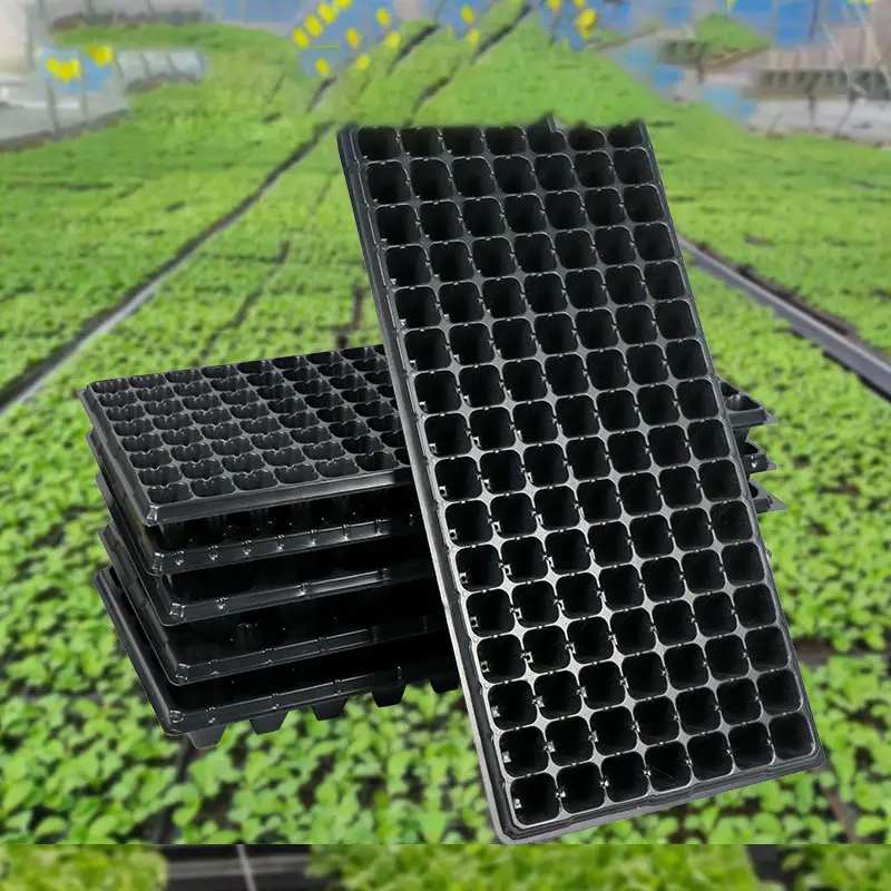 QQ7301 plant tray agriculture planting seedling starter trays plants cells grow tray germinating 72 holes