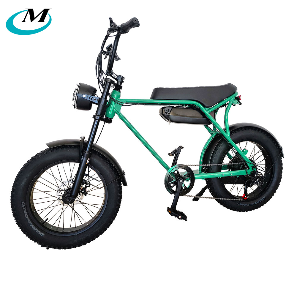 48v 750wミドルドライブファットタイヤ電動自転車Eバイクfatbike 
