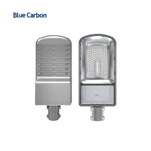 20 năm bảo hành Carbon màu xanh năng lượng mặt trời ánh sáng đường phố Ngoài trời chất lượng cao LED không thấm nước IP65 LED ánh sáng để bán