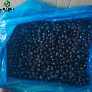 Arándano salvaje congelado Fruta congelada orgánica Al por mayor Fresh Black Red Freezing Blueberry Berries <span class=keywords><strong>Comprar</strong></span> en venta - Product Image 4