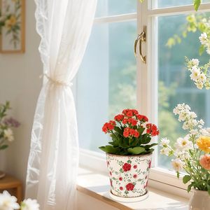 Pots à fleurs en céramique émaillée <span class=keywords><strong>pour</strong></span> sol, 5,5 pouces, petit design effet craquelé, avec trou de drainage et <span class=keywords><strong>soucoupe</strong></span> <span class=keywords><strong>pour</strong></span> plantes bonsaï - Product Image 3