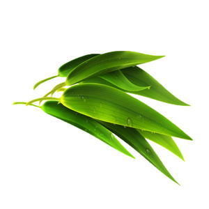 Fabrikant Hete Verkoop Bamboe Blad <span class=keywords><strong>Extract</strong></span> Bamboe Bladpoeder 80 Mesh Bamboe Blad <span class=keywords><strong>Capsules</strong></span> En Verpakking - Product Image 3