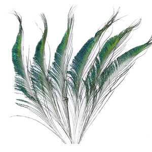 Lunghezza 30-35 cm <span class=keywords><strong>piume</strong></span> di <span class=keywords><strong>pavone</strong></span> naturale <span class=keywords><strong>piume</strong></span> verdi spada per l'organizzazione di fiori accessorio fai da te decorazione della casa articoli d'arte - Product Image 4