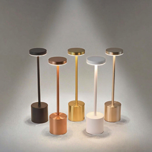 Nordic Simple Modern Metal Flexible Battery-Powered Desk <strong>Lamp</strong> <strong>Charge</strong> and Plug Dual Purpose Bedroom Ambiance <strong>Lamp</strong> - Product Image 3