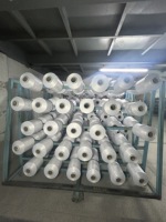 Fil de Soie en Nylon DTY Haute Qualité et Haute Ténacité 100% Nylon 100D/68F Certifié NIM/HIM/SIM pour la Fabrication de Chaussettes et la Couture