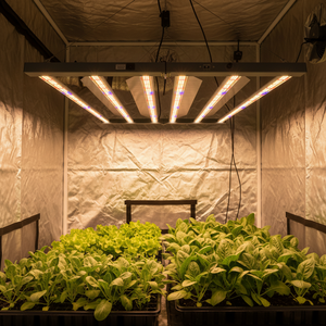 ไฟปลูกพืช Gen 4 รุ่น 720W เพื่อการกระจายแสงที่ดีขึ้น พร้อมชิ้นส่วนบานพับคุณภาพสูง และหลอดไฟ LED สีน้ำเงินแบบ Full Spectrum ที่ประสิทธิภาพสูงขึ้น - Product Image 1