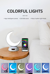 Equantu Moon Lamp Quran Speaker SQ902 Bluetooth App Control LED Light Rechargeable Plastic Body Islamic Digital Player - Product Image 6