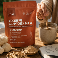 Poudre de mélange adaptogène à formule personnalisée, MOQ flexible, pour soutien cognitif, vente en gros, OEM ODM, naturel, pour adultes