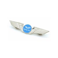 Épinglette d'ailes personnalisées en or argenté promotionnel Ailes personnalisées Épingle en émail
