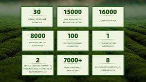 Té <span class=keywords><strong>Sen</strong></span> de hojas sueltas de té verde ampliamente utilizado para el mercado de África/Oriente Medio - Product Image 6