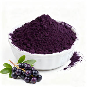 Suplementos orgánicos LongSheng, extracto de bayas de Acai, vitamina C liofilizada, polvo de jugo de frutas de bayas de Acai - Product Image 1