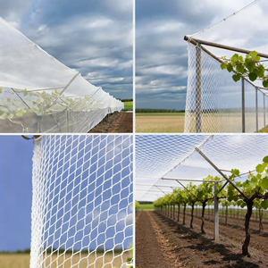 <span class=keywords><strong>Filet</strong></span> anti-oiseaux robuste en PEHD pour bâtiments et agriculture - Product Image 3