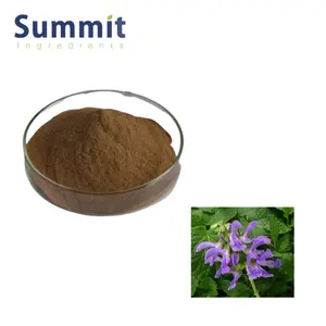 Tanshinone Factory Price Natural Plant Danshen Extract Salvia Miltiorrhiza Extract Tanshinone IIA 10%
