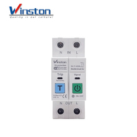 Interruptor de Circuito Inteligente WiFi Winston 63A RCBO 2P con Protección Contra Fugas, Medición de Energía, Protección Contra Sobretensión y Baja Tensión, Tuya CE