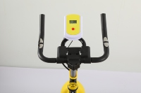 Vélo d'exercice stationnaire d'intérieur, vélo de fitness vertical, silencieux, à transmission par courroie, pour entraînement cardio, avec siège confortable