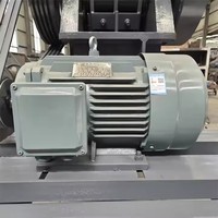 Mini concasseur à mâchoires stationnaire électrique Machine de concassage de pierre de roche avec capacité de fabrication de gravier Petit concasseur de roche au prix