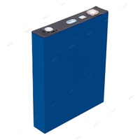 CALB L173F163 3.2V 163Ah Sel Baterai Lifepo4 Prismatik dengan Siklus Hidup Panjang, Sel LFP untuk Sistem Penyimpanan Energi Surya Rumah Tangga