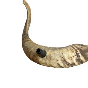 Shofar de Cuerno de Carnero Natural Genuino, Instrumento de Cuerno Crudo Hecho a Mano, Cuerno Musical Religioso Tradicional, Tacto Real de Animal, Alta Calidad - Product Image 6