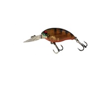 Señuelo de Pesca Artificial RAID CRANKBAIT de 60 mm/5,5 g, Señuelo de Superficie para Trucha, Lucio y Carpa, Resistente a la Corrosión, para Uso en Ríos, Arroyos y Océanos